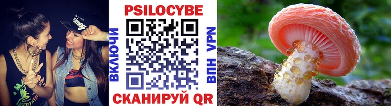 цены наркотик  omg ТОР  Галлюциногенные грибы прущие грибы  Калачинск 